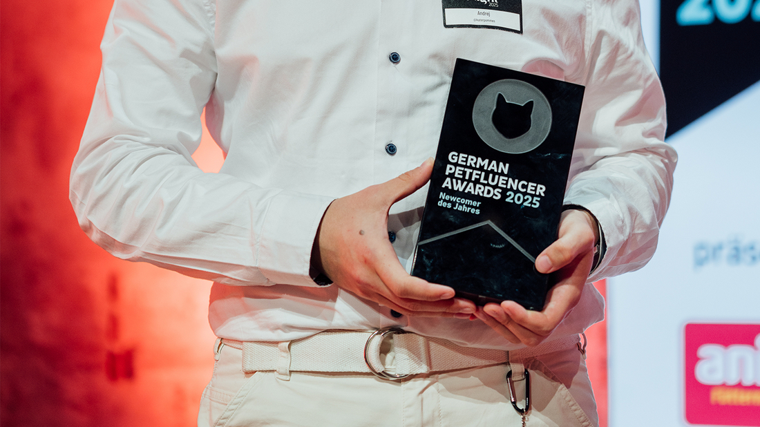 Wir sind Newcomer des Jahres 🎉