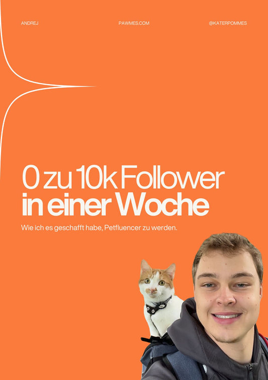0 zu 10k Follower in einer Woche E-Book